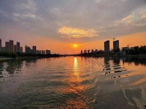 汕头龙湖区爆料案件最新,惊曝重大案件细节披露  第2张